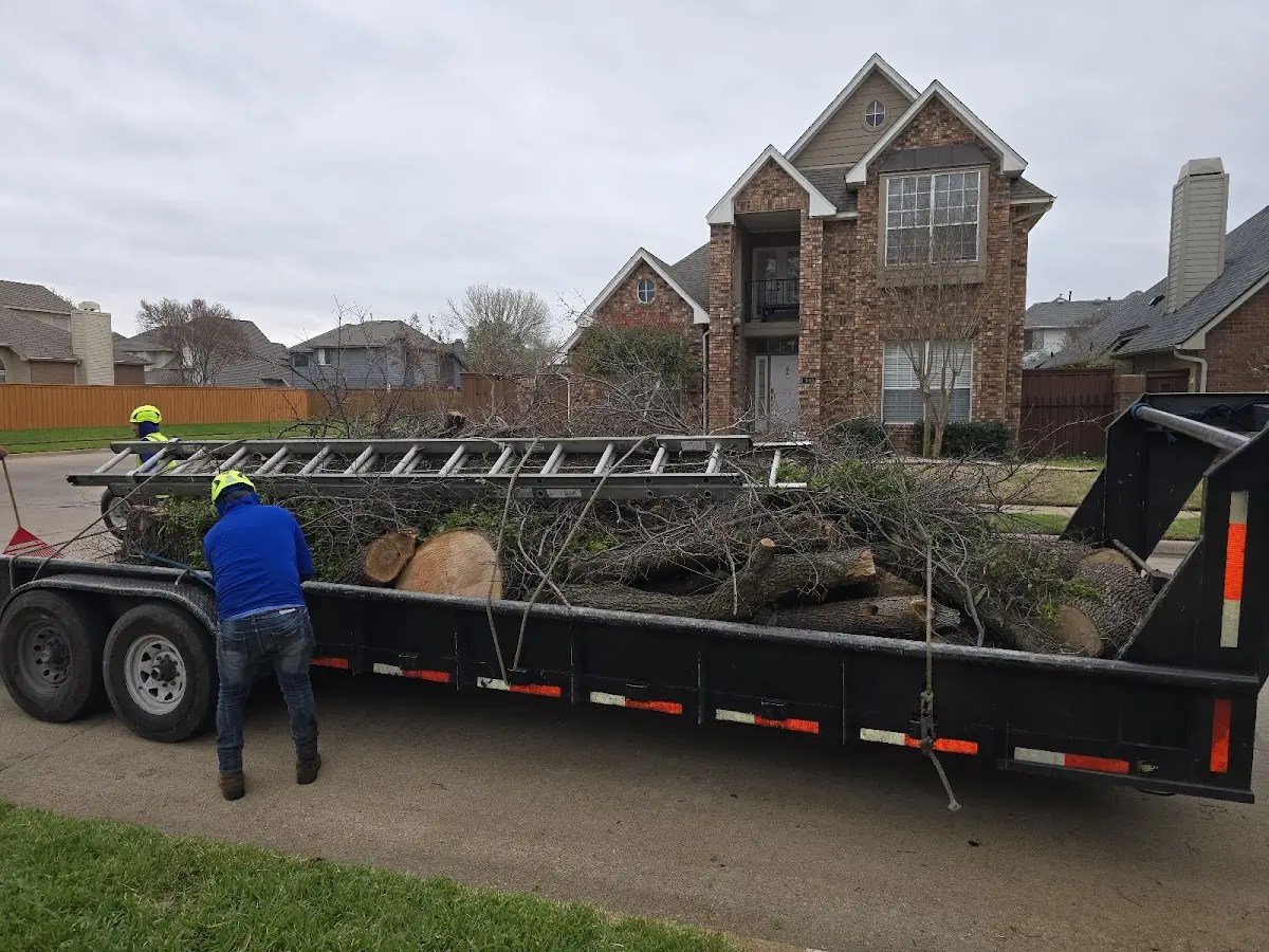 Expert Tree Fertilization with proper safety equipment in Eureka